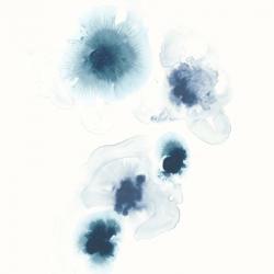 Protea Blue I | Obraz na stenu