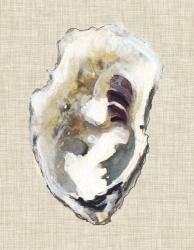 Oyster Shell Study I | Obraz na stenu