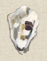 Oyster Shell Study II | Obraz na stenu