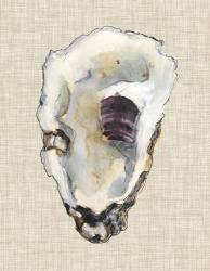 Oyster Shell Study III | Obraz na stenu
