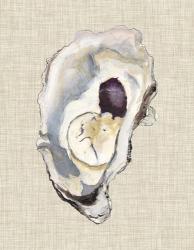 Oyster Shell Study IV | Obraz na stenu