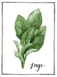 Watercolor Herbs VI | Obraz na stenu