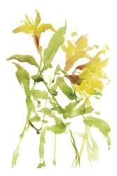 Watercolor Lilies I | Obraz na stenu