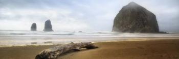 From Cannon Beach II | Obraz na stenu