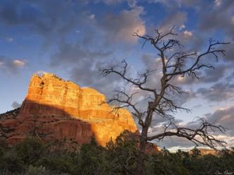 Sunset in the Desert II | Obraz na stenu