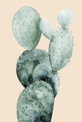 Cactus on Coral I | Obraz na stenu