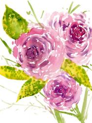 Bouquet Rose I | Obraz na stenu
