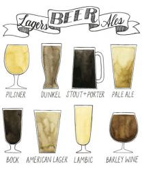 Beer Info Graphic | Obraz na stenu