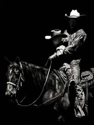 Scratchboard Rodeo II | Obraz na stenu