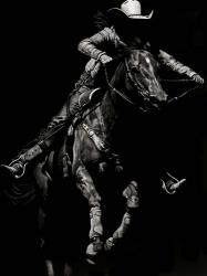 Scratchboard Rodeo IV | Obraz na stenu