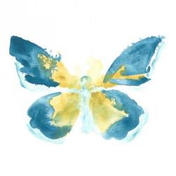 Butterfly Traces I | Obraz na stenu