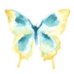Butterfly Traces II | Obraz na stenu