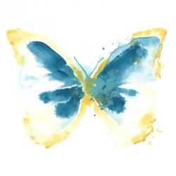 Butterfly Traces III | Obraz na stenu