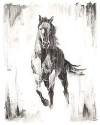Rustic Black Stallion II | Obraz na stenu