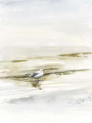 Coastal Gull I | Obraz na stenu