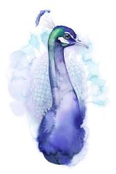 Bejeweled Peacock I | Obraz na stenu