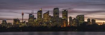 Sydney Skyline | Obraz na stenu