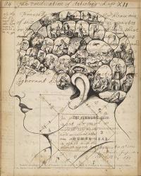 Phrenology Bookpage | Obraz na stenu