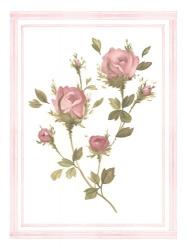 Rose Pattern I | Obraz na stenu