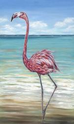 Beach Walker Flamingo II | Obraz na stenu