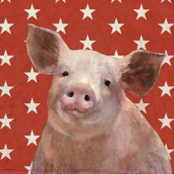 Patriotic Farm III | Obraz na stenu