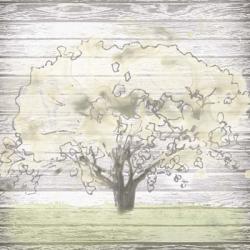 Barn Tree I | Obraz na stenu