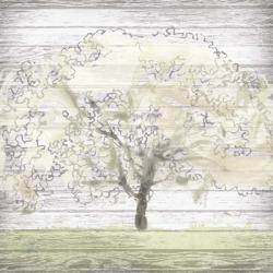Barn Tree II | Obraz na stenu