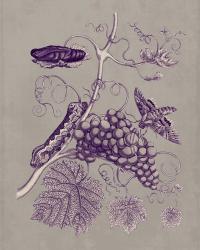 Nature Study in Plum & Taupe III | Obraz na stenu