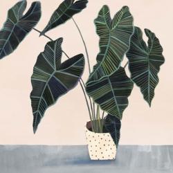 Houseplant II | Obraz na stenu