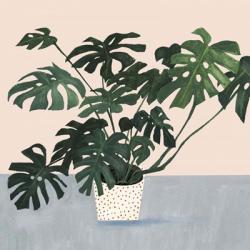 Houseplant III | Obraz na stenu