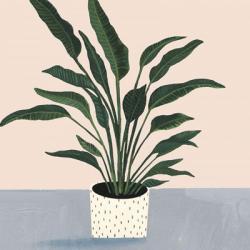 Houseplant IV | Obraz na stenu