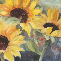 Sunflowers in Watercolor II | Obraz na stenu