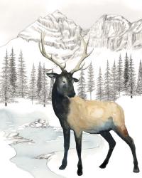 Winter Elk I | Obraz na stenu
