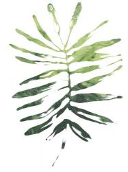 Emerald Tropics I | Obraz na stenu