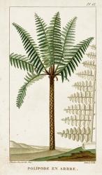 Exotic Palms III | Obraz na stenu