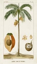 Exotic Palms V | Obraz na stenu