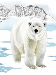 Arctic Animal II | Obraz na stenu