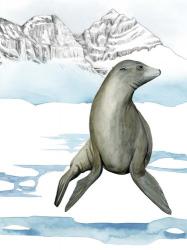 Arctic Animal IV | Obraz na stenu