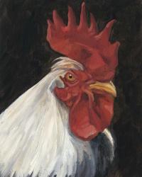 Rooster Portrait I | Obraz na stenu