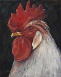 Rooster Portrait II | Obraz na stenu