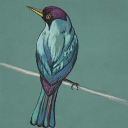 Winged Sketch I on Teal | Obraz na stenu