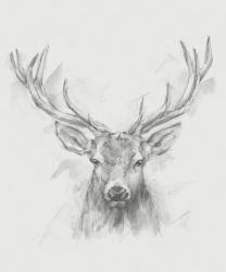 Contemporary Elk Sketch I | Obraz na stenu
