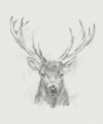Contemporary Elk Sketch II | Obraz na stenu