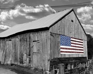 Flags of Our Farmers IV | Obraz na stenu