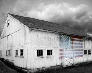 Flags of Our Farmers VIII | Obraz na stenu