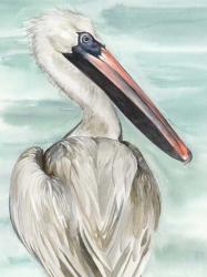 Turquoise Pelican I | Obraz na stenu