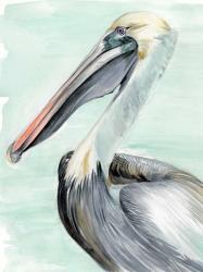 Turquoise Pelican II | Obraz na stenu