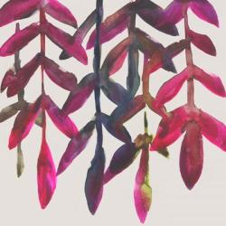 Fuchsia Vine I | Obraz na stenu