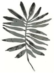 Foliage Fossil VII | Obraz na stenu