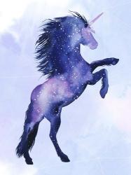 Unicorn Universe  III | Obraz na stenu